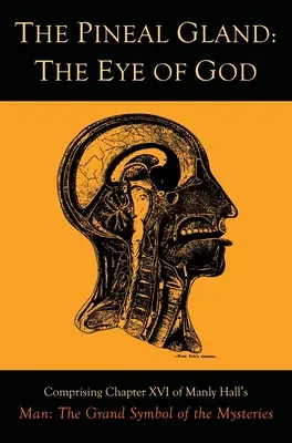 Szyszynka: Oko Boga - The Pineal Gland: The Eye of God