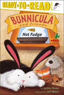 Hot Fudge, 2: Gotowe do czytania, poziom 3 - Hot Fudge, 2: Ready-To-Read Level 3