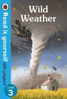 Dzika pogoda: Poziom 3 - Wild Weather: Level 3