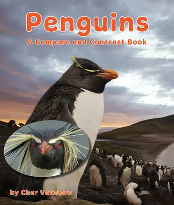 Pingwiny: Książka porównań i kontrastów - Penguins: A Compare and Contrast Book