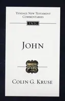 John - wprowadzenie i komentarz - John - An Introduction And Commentary