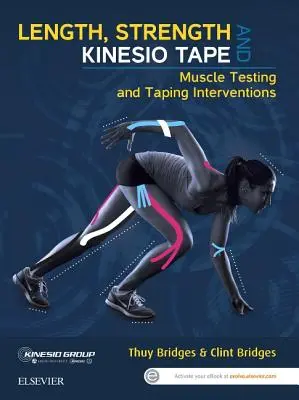 Długość, siła i taśma Kinesio: Testowanie mięśni i interwencje z użyciem taśm - Length, Strength and Kinesio Tape: Muscle Testing and Taping Interventions