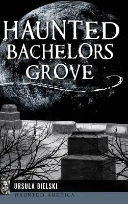 Nawiedzony Kawalerski Gaj - Haunted Bachelors Grove