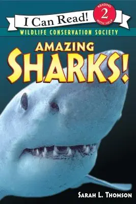 Niesamowite rekiny! - Amazing Sharks!