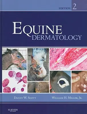 Dermatologia koni - Equine Dermatology