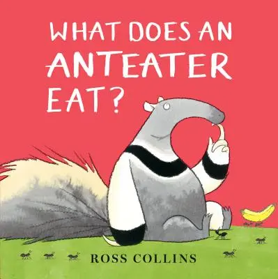 Co je mrówkojad? - What Does an Anteater Eat?