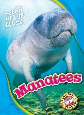 Manaty - Manatees