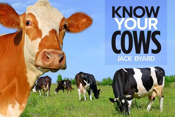 Poznaj swoje krowy - Know Your Cows