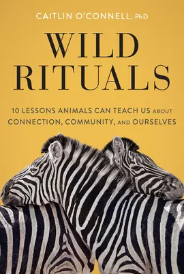 Dzikie rytuały: 10 lekcji, których zwierzęta mogą nas nauczyć na temat więzi, społeczności i nas samych - Wild Rituals: 10 Lessons Animals Can Teach Us about Connection, Community, and Ourselves