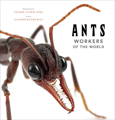 Mrówki: Pracownicy świata - Ants: Workers of the World