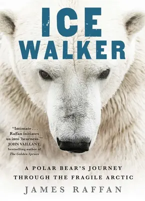 Ice Walker: Podróż niedźwiedzia polarnego przez kruchą Arktykę - Ice Walker: A Polar Bear's Journey Through the Fragile Arctic