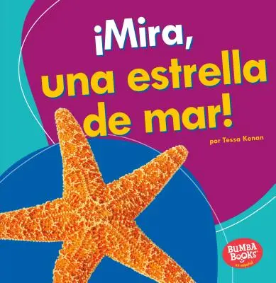 Mira, Una Estrella de Mar! (Spójrz, rozgwiazda!) - Mira, Una Estrella de Mar! (Look, a Starfish!)