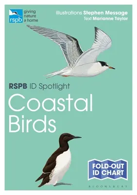 Rspb Id Spotlight - Ptaki przybrzeżne - Rspb Id Spotlight - Coastal Birds