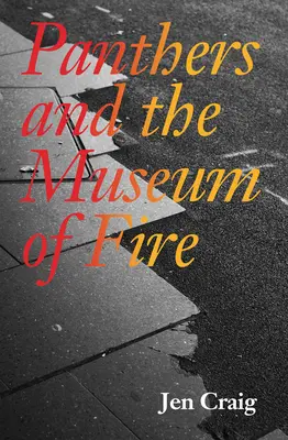 Pantery i Muzeum Ognia - Panthers and the Museum of Fire