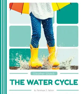 Cykl wodny - The Water Cycle