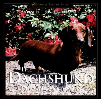 Jamnik: Pies dla miasta i wsi - The Dachshund: A Dog for Town and Country