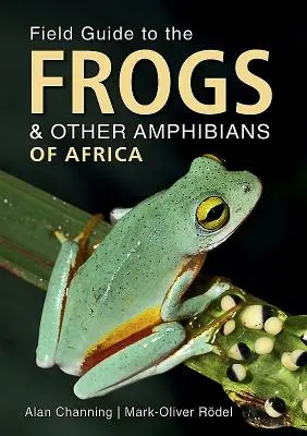 Przewodnik terenowy po żabach i innych płazach Afryki - Field Guide to the Frogs & Other Amphibians of Africa
