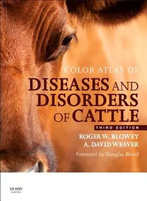 Kolorowy atlas chorób i zaburzeń bydła - Color Atlas of Diseases and Disorders of Cattle