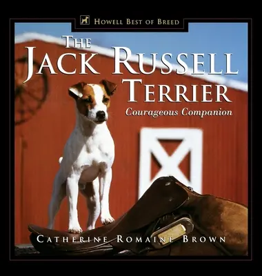 Jack Russell Terrier: Odważny towarzysz - The Jack Russell Terrier: Courageous Companion