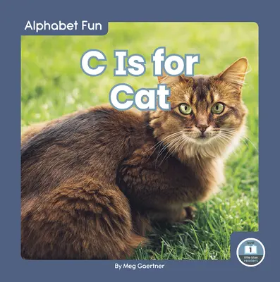 C jak Kot - C Is for Cat