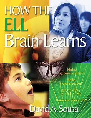 Jak uczy się mózg Ell - How the Ell Brain Learns