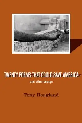 Dwadzieścia wierszy, które mogą ocalić Amerykę i inne eseje - Twenty Poems That Could Save America and Other Essays