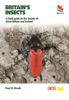 Britain's Insects: Przewodnik terenowy po owadach Wielkiej Brytanii i Irlandii - Britain's Insects: A Field Guide to the Insects of Great Britain and Ireland