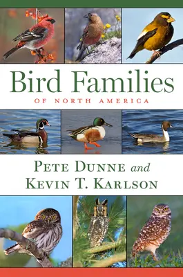 Rodziny ptaków Ameryki Północnej - Bird Families of North America