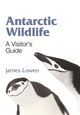 Antarctic Wildlife: Przewodnik dla zwiedzających - Antarctic Wildlife: A Visitor's Guide