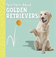 Szybkie fakty o golden retrieverach - Fast Facts About Golden Retrievers