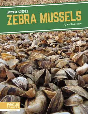 Małże zebry - Zebra Mussels