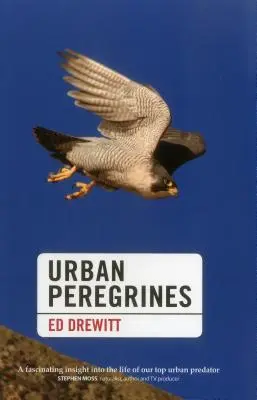 Miejskie sokoły wędrowne - Urban Peregrines