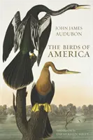 Ptaki Ameryki - Birds of America