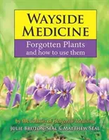 Przydrożna medycyna - zapomniane rośliny i jak z nich korzystać - Wayside Medicine - Forgotten Plants and how to use them