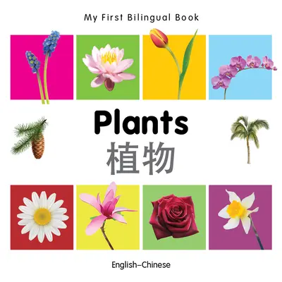 Moja pierwsza dwujęzyczna książka - Rośliny (angielski-chiński) - My First Bilingual Book-Plants (English-Chinese)