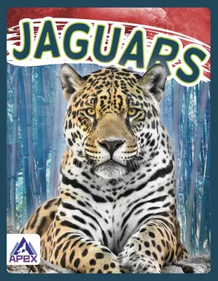 Jaguary - Jaguars