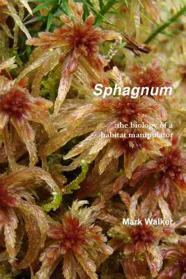 Torfowiec - Sphagnum