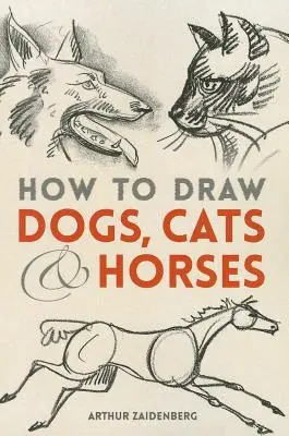 Jak rysować psy, koty i konie - How to Draw Dogs, Cats and Horses