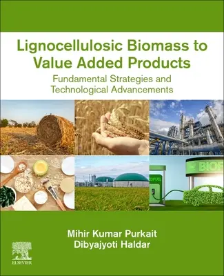 Biomasa lignocelulozowa do produktów o wartości dodanej: Podstawowe strategie i postęp technologiczny - Lignocellulosic Biomass to Value-Added Products: Fundamental Strategies and Technological Advancements