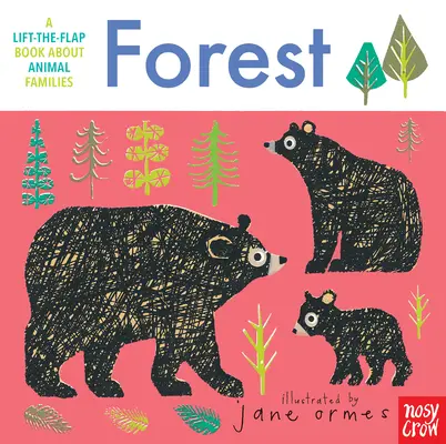 Rodziny zwierząt: Las - Animal Families: Forest