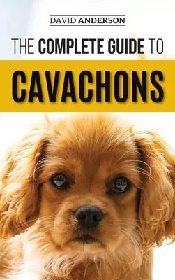 Kompletny przewodnik po Cavachonach: Wybór, szkolenie, nauczanie, karmienie i kochanie psa rasy Cavachon - The Complete Guide to Cavachons: Choosing, Training, Teaching, Feeding, and Loving Your Cavachon Dog