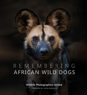 Pamiętając o afrykańskich dzikich psach - Remembering African Wild Dogs