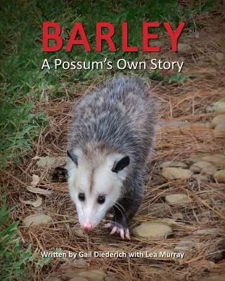 Jęczmień, własna historia oposa - Barley, a Possum's Own Story