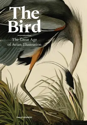 Ptak: Wielka era ptasich ilustracji - The Bird: The Great Age of Avian Illustration