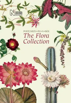 Kolekcja flory: Pocztówki w pudełku - The Flora Collection: Postcards in a Box