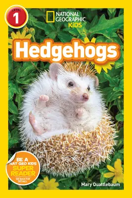 National Geographic Readers: Jeże (Poziom 1) - National Geographic Readers: Hedgehogs (Level 1)