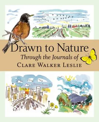 Drawn to Nature: Poprzez dzienniki Clare Walker Leslie - Drawn to Nature: Through the Journals of Clare Walker Leslie