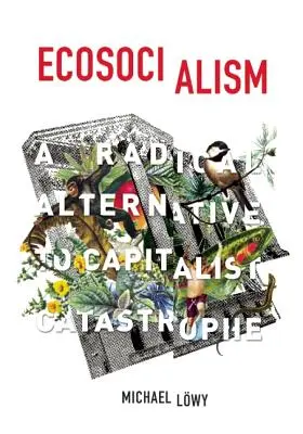 Ekosocjalizm: Radykalna alternatywa dla kapitalistycznej katastrofy - Ecosocialism: A Radical Alternative to Capitalist Catastrophe