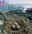 Gniazda - Nests