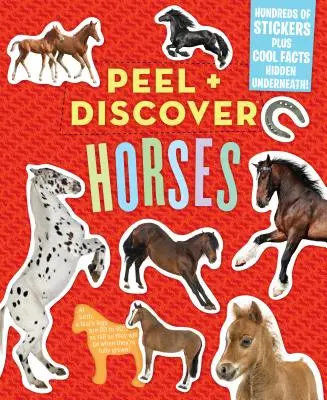 Peel + Discover: Konie - Peel + Discover: Horses